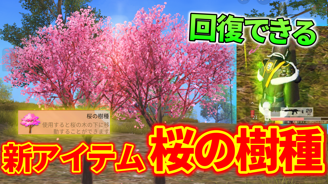 荒野行動 回復できる新アイテム 桜の樹種 使い方や仕様まとめ 荒野行動news